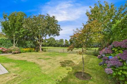 St Saviour / Trinity Border, Image 28