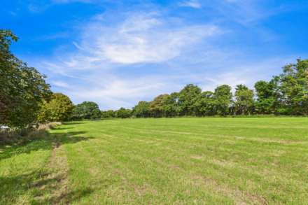 St Saviour / Trinity Border, Image 32