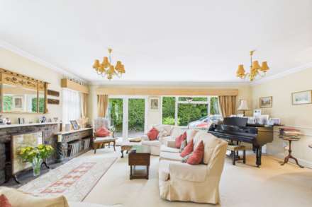 Trinity Hill, Image 6