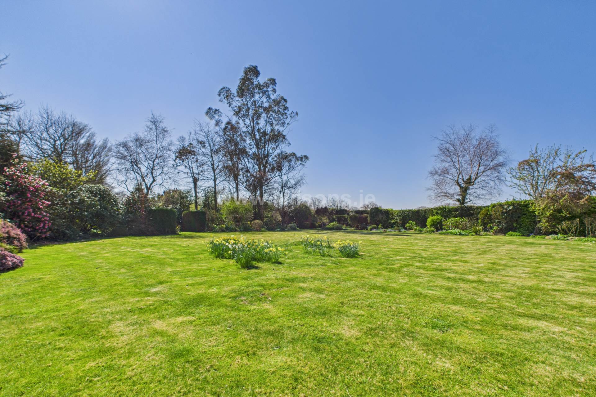 St Saviour, Image 19