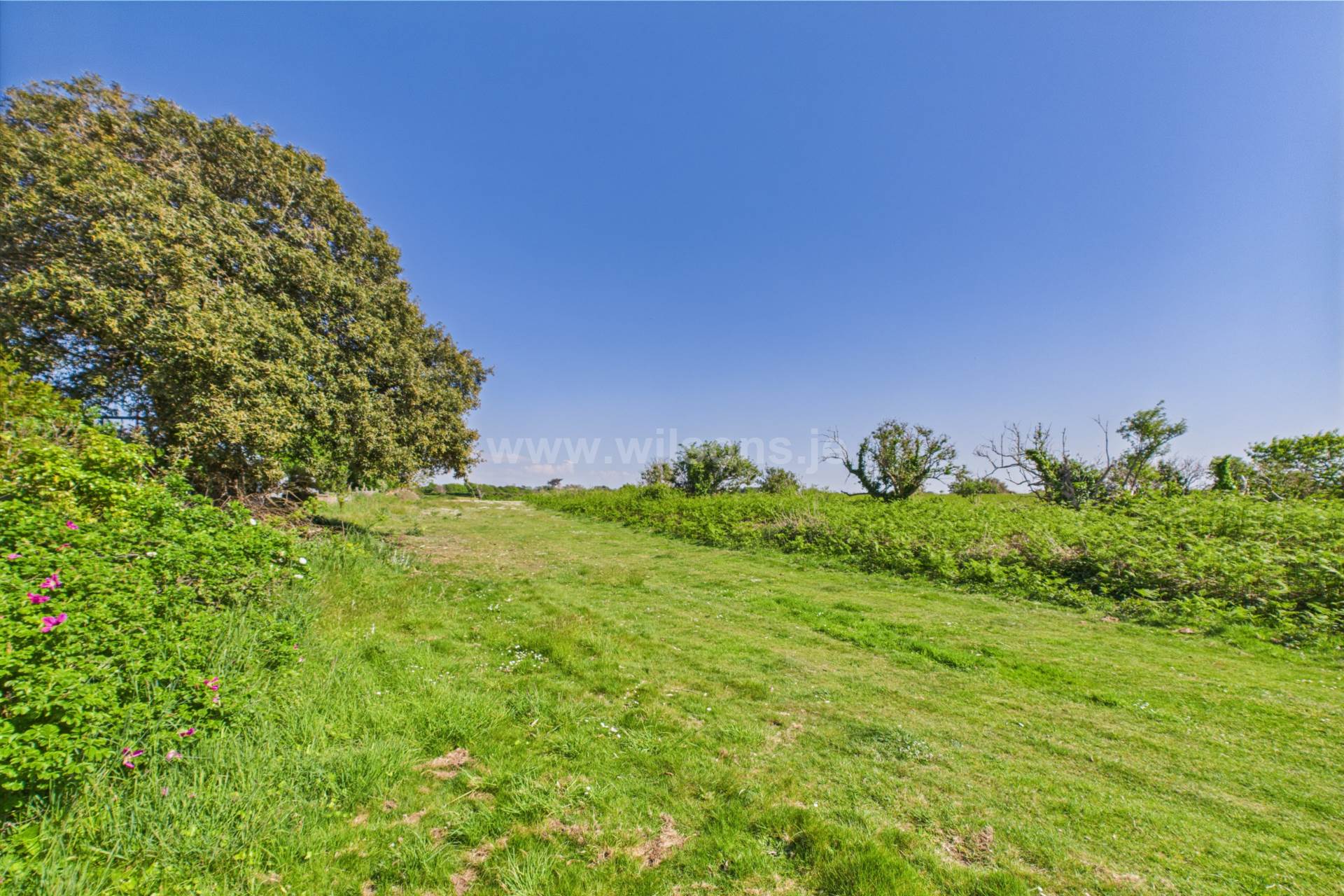 Mont Rossignol, St Ouen, Image 30