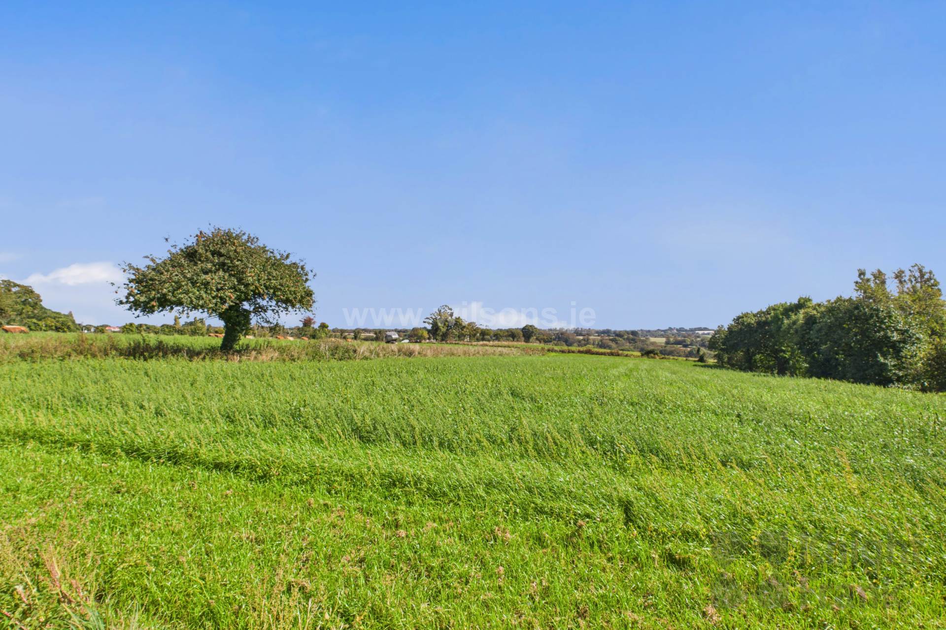 La Grande Route De St Lauent, St Lawrence, Image 32