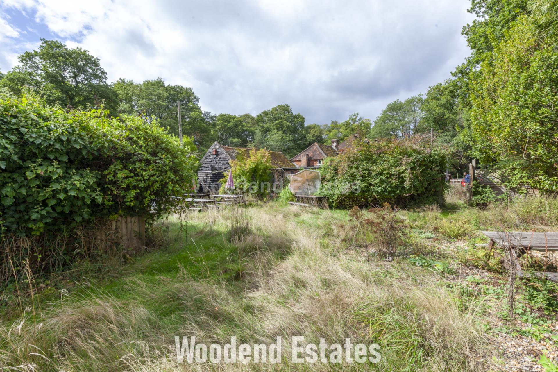 Littleworth Common, Image 34
