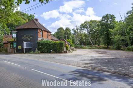 Littleworth Common, Image 31