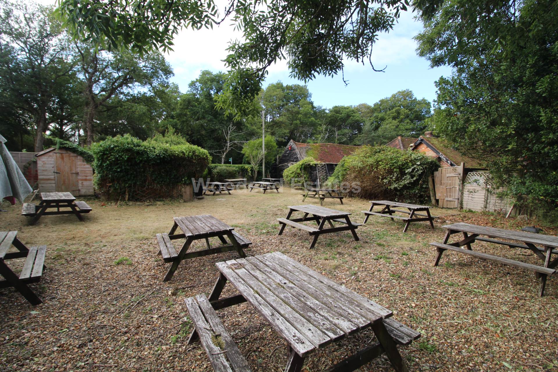 Littleworth Common, Image 35