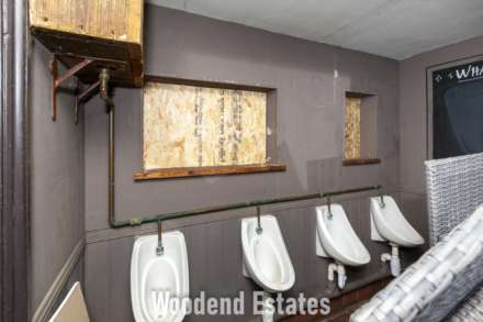 Littleworth Common, Image 13