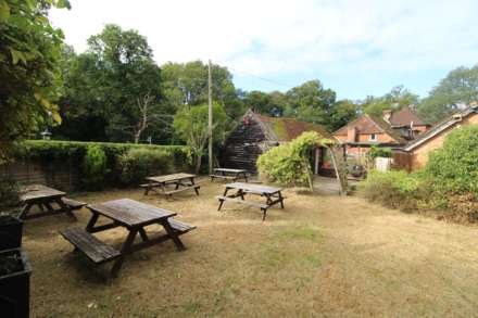 Littleworth Common, Image 33