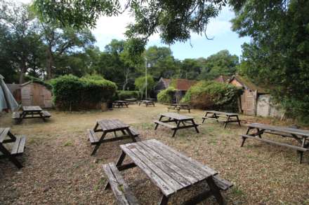 Littleworth Common, Image 35