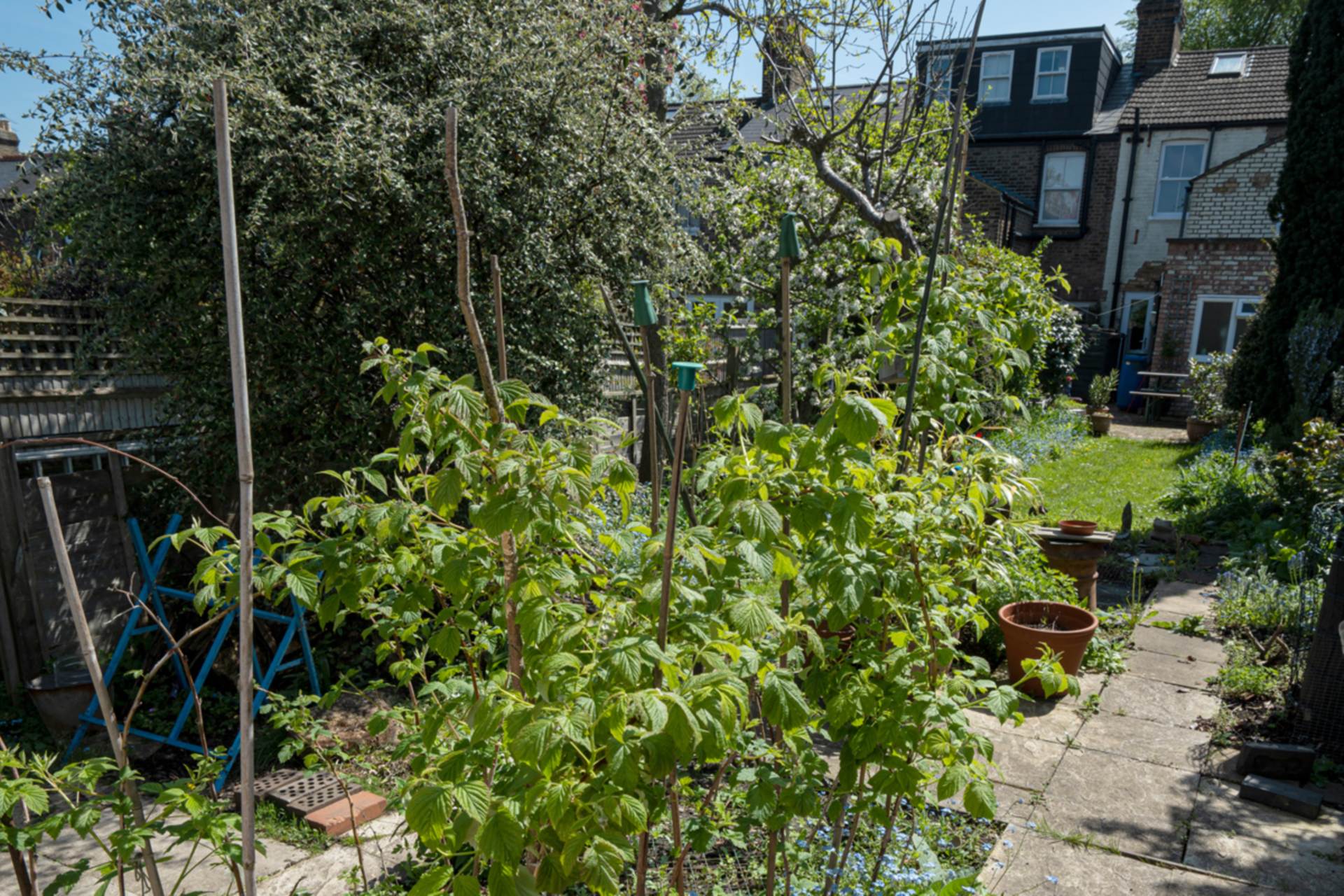 Lateward Road, Brentford, Image 12