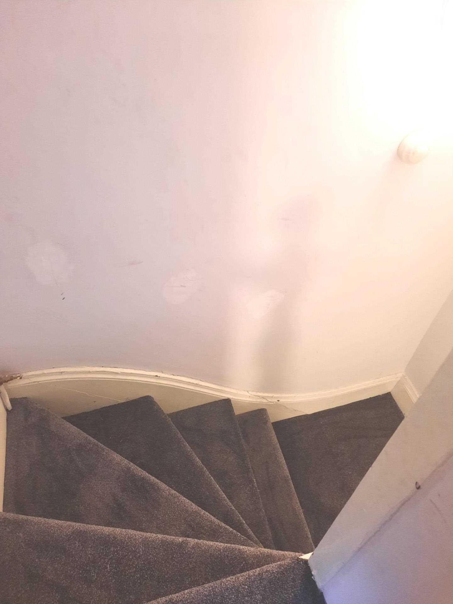 Handsworth Wood, Birmingham, Image 8