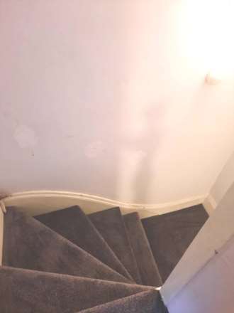 Handsworth Wood, Birmingham, Image 8